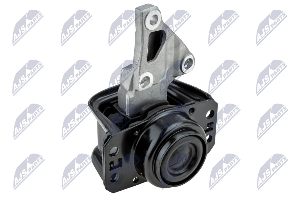 ZPS-PE-012