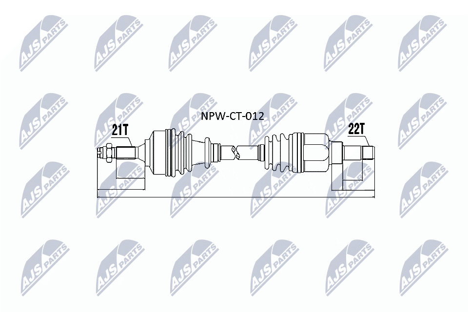 NPW-CT-012
