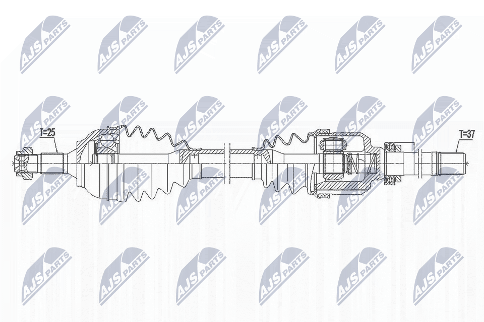 NPW-CT-107