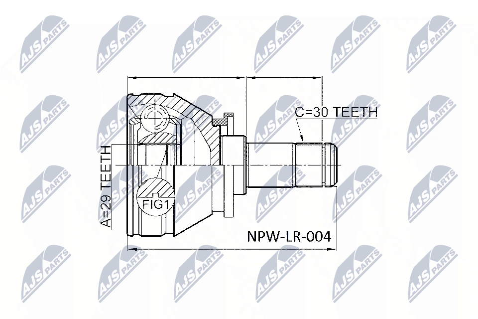 NPW-LR-004