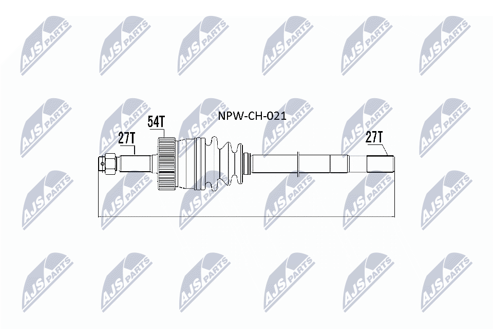 NPW-CH-021