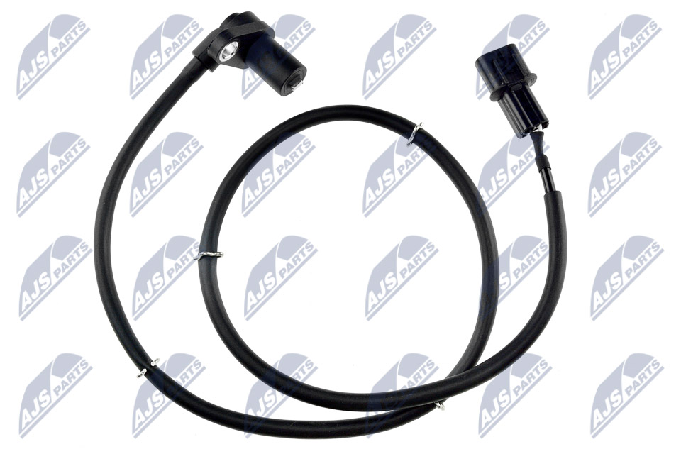 HCA-MS-031