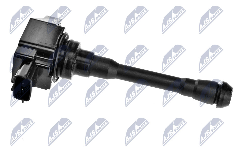 ECZ-NS-017