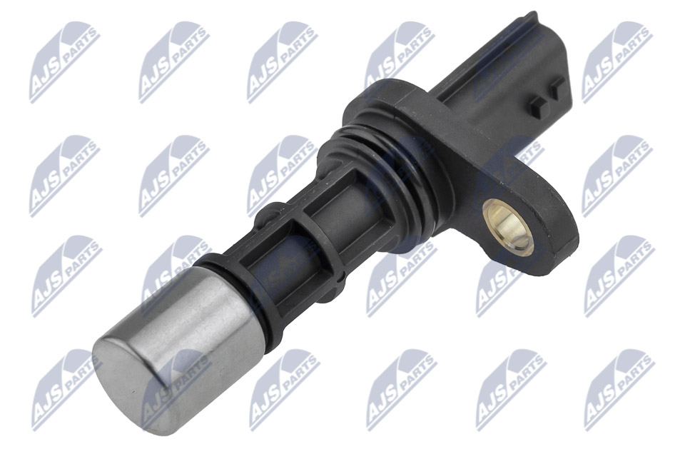 ECP-NS-021