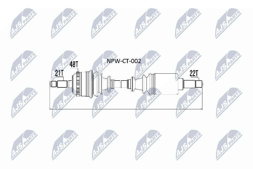 NPW-CT-002