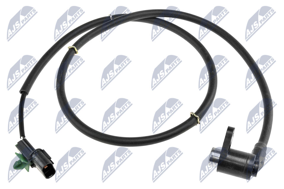 HCA-MS-029