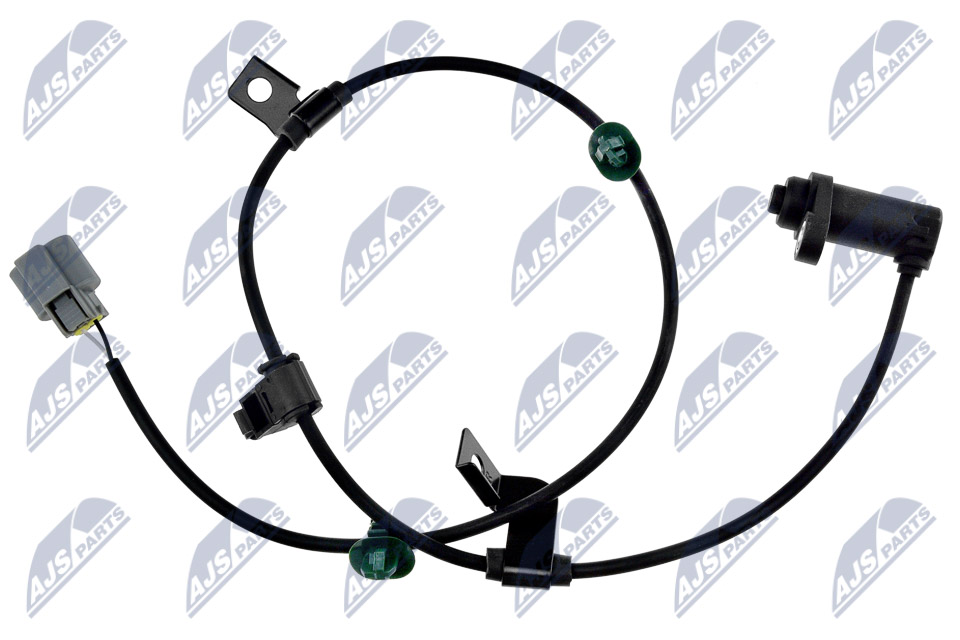 HCA-MS-054