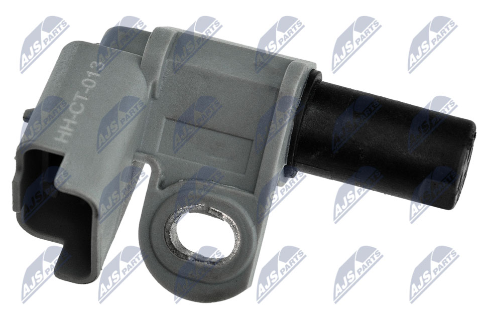 ECP-CT-013