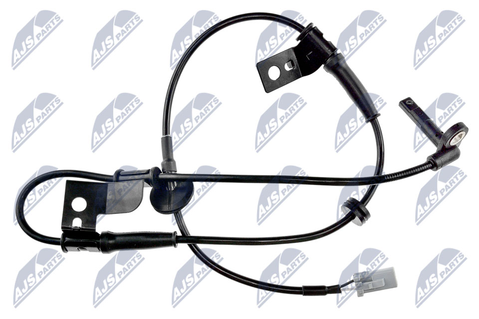 HCA-MS-056