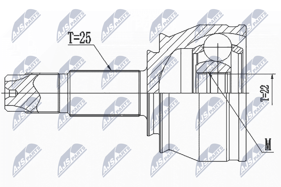 NPZ-CT-024