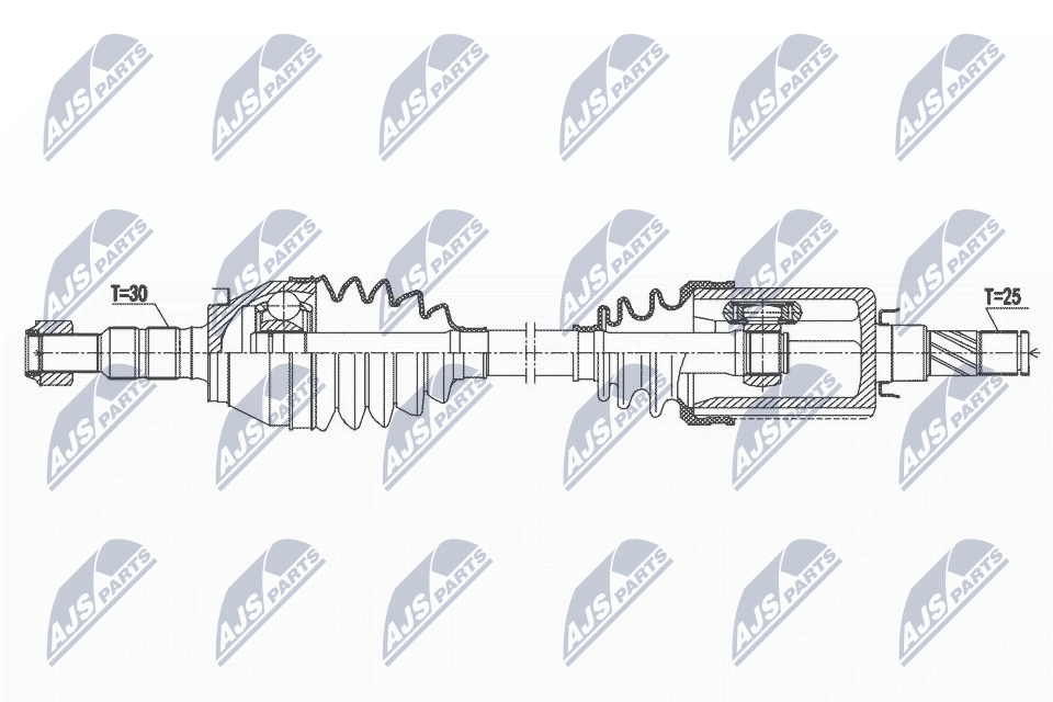 NPW-PL-117