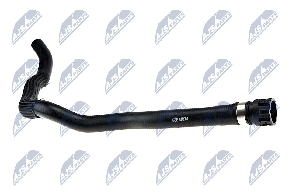 CPP-BM-029