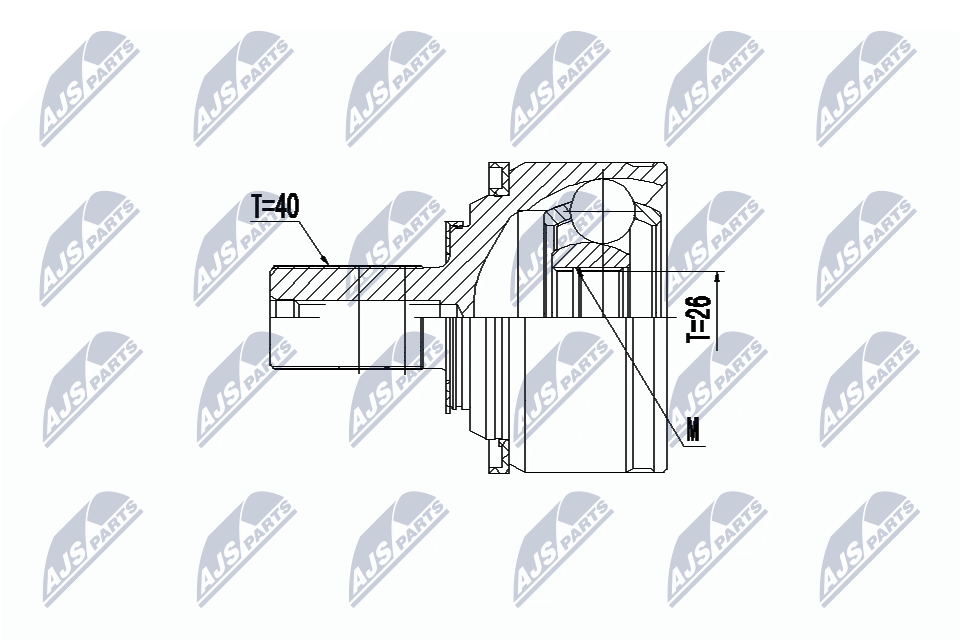 NPZ-VV-021