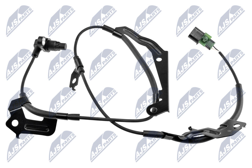 HCA-MS-082