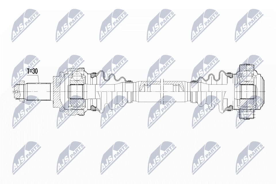 NPW-BM-038