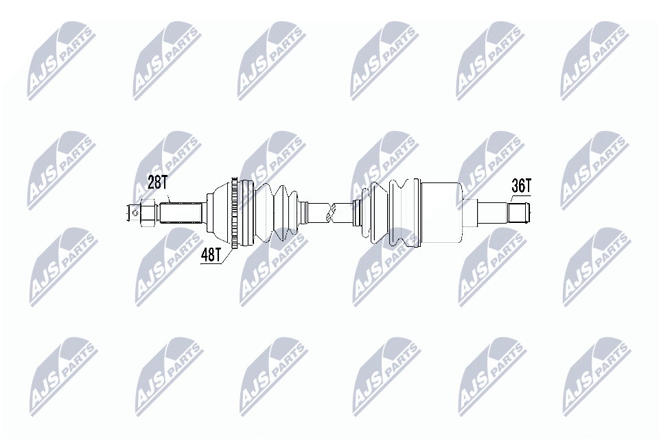 NPW-FR-031