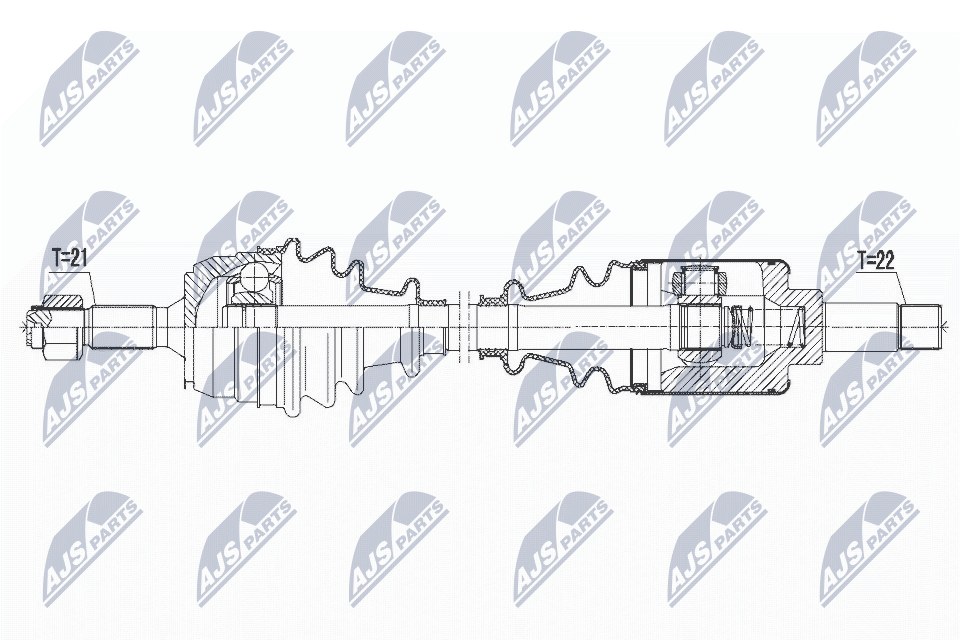 NPW-CT-065
