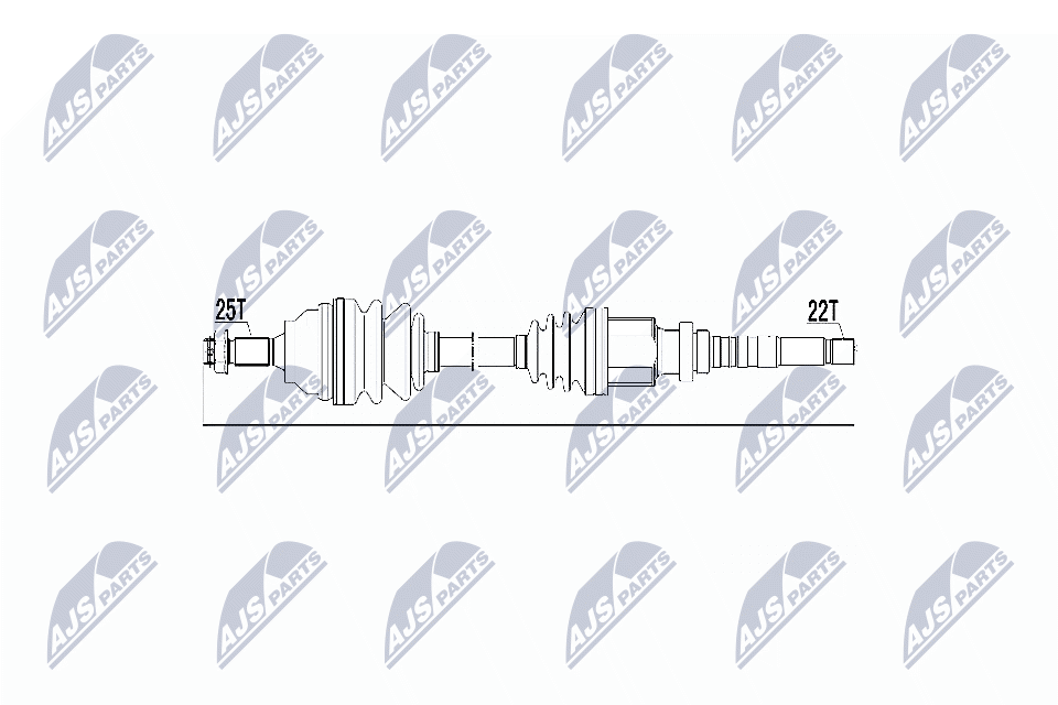 NPW-CT-019