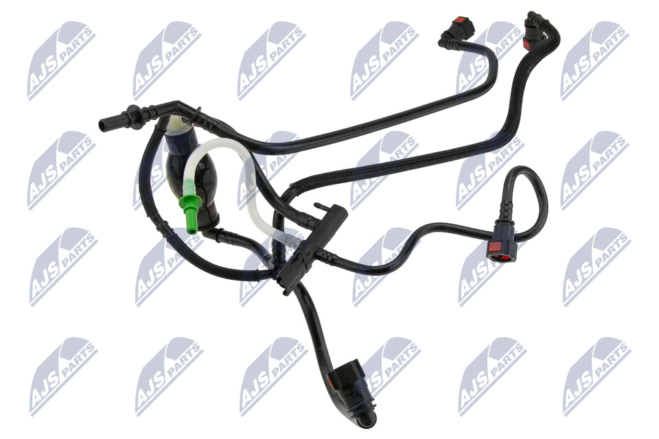 BPP-CT-013