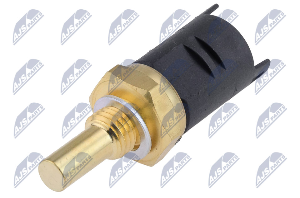 ECT-BM-010