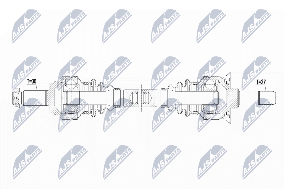 NPW-BM-101