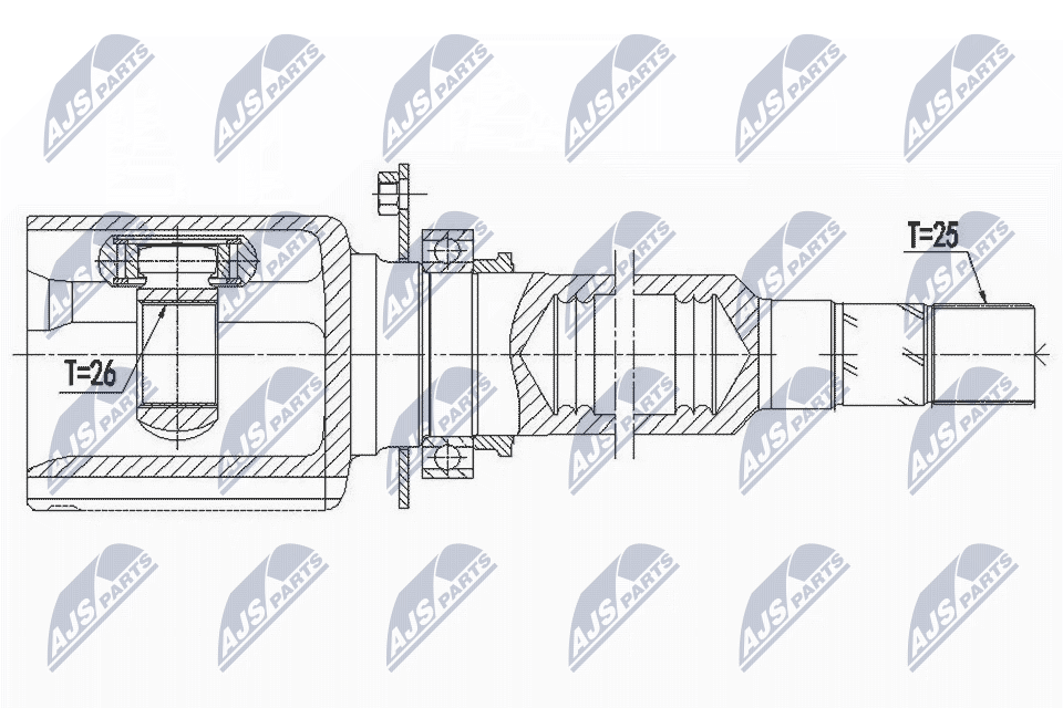 NPW-AR-009