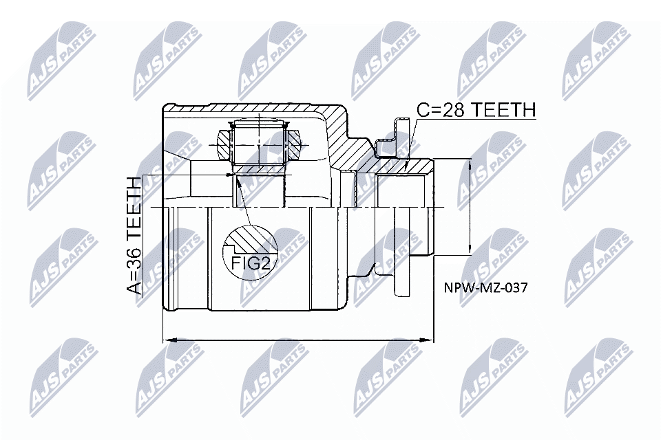 NPW-MZ-037