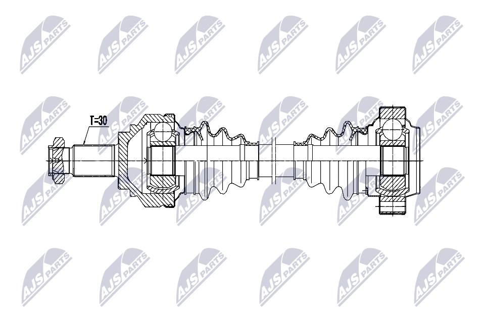 NPW-BM-207