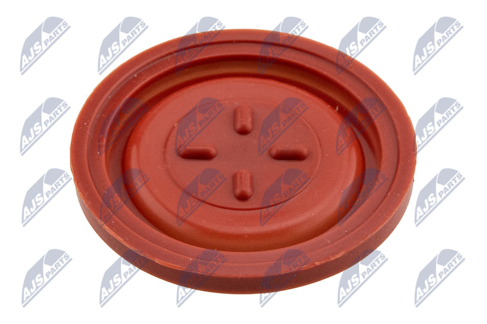 BPZ-CT-005
