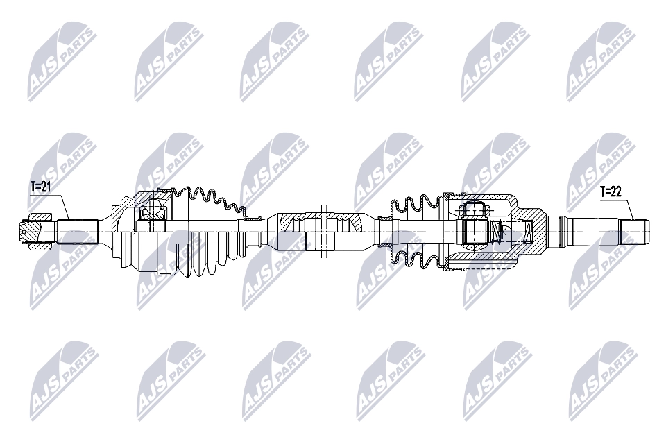 NPW-PE-113
