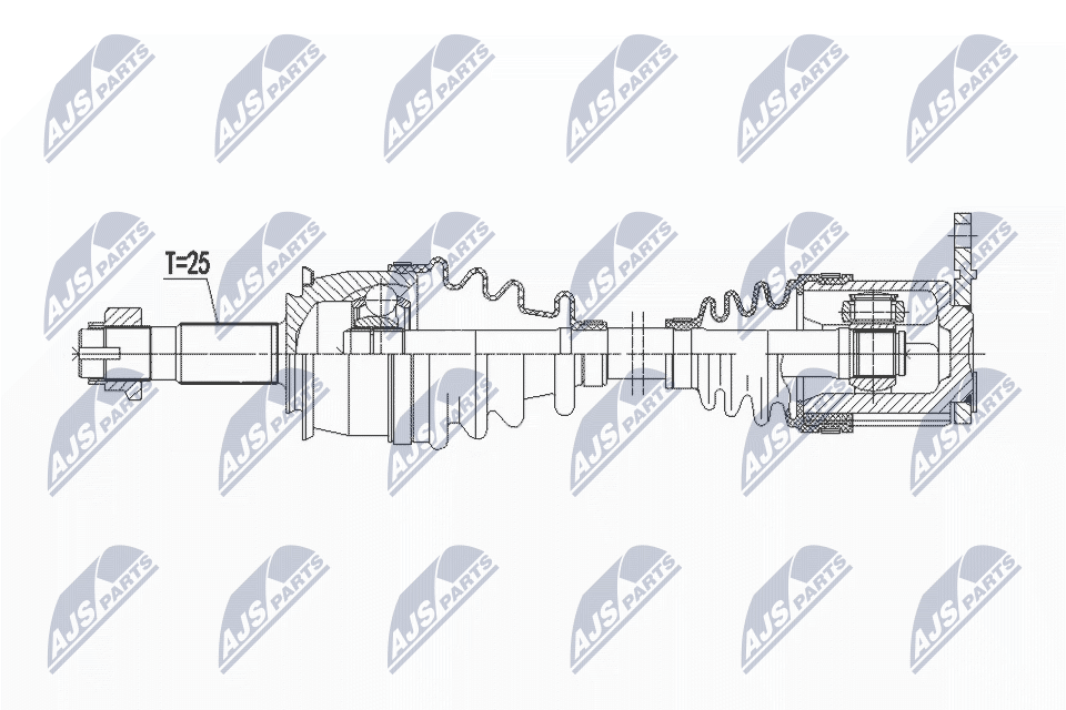 NPW-PL-137