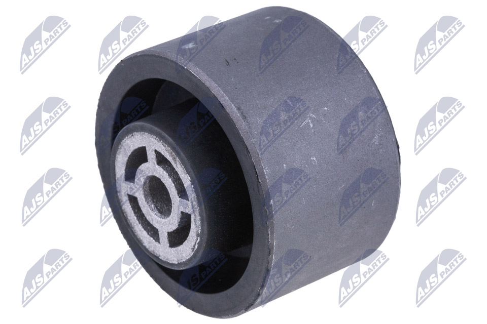 ZPS-PE-013