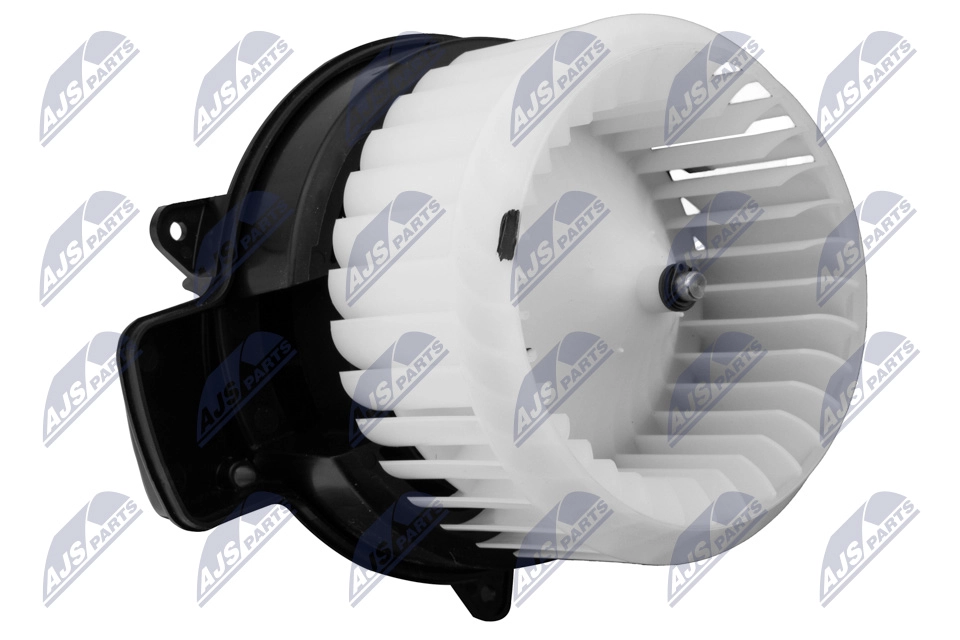 EWN-AU-008