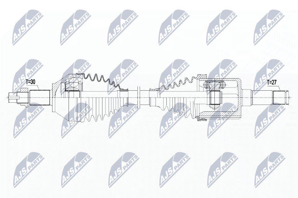NPW-AR-008