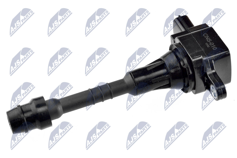 ECZ-NS-010