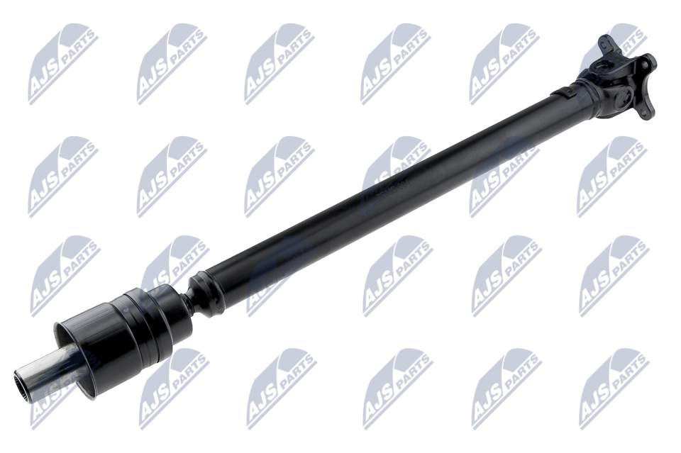 NWN-MS-004