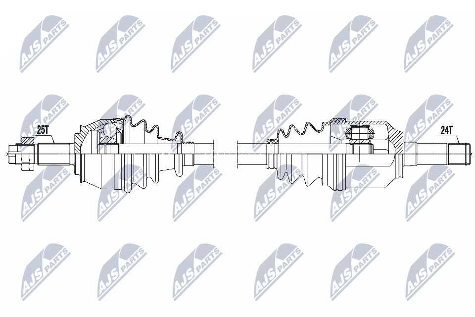 NPW-FT-021
