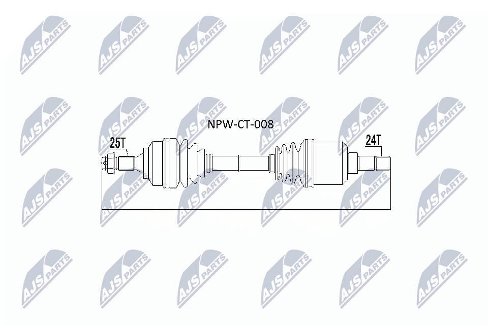 NPW-CT-008