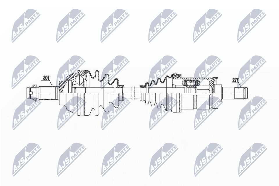 NPW-BM-019