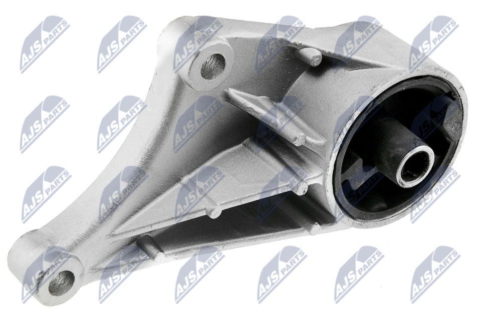 ZPS-PL-013