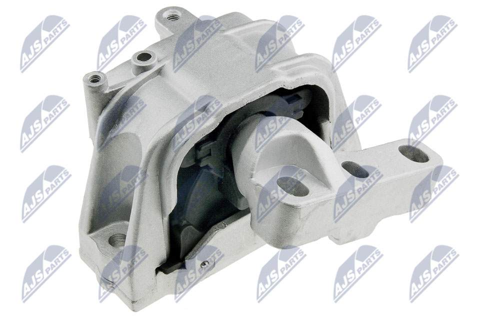 ZPS-VW-011