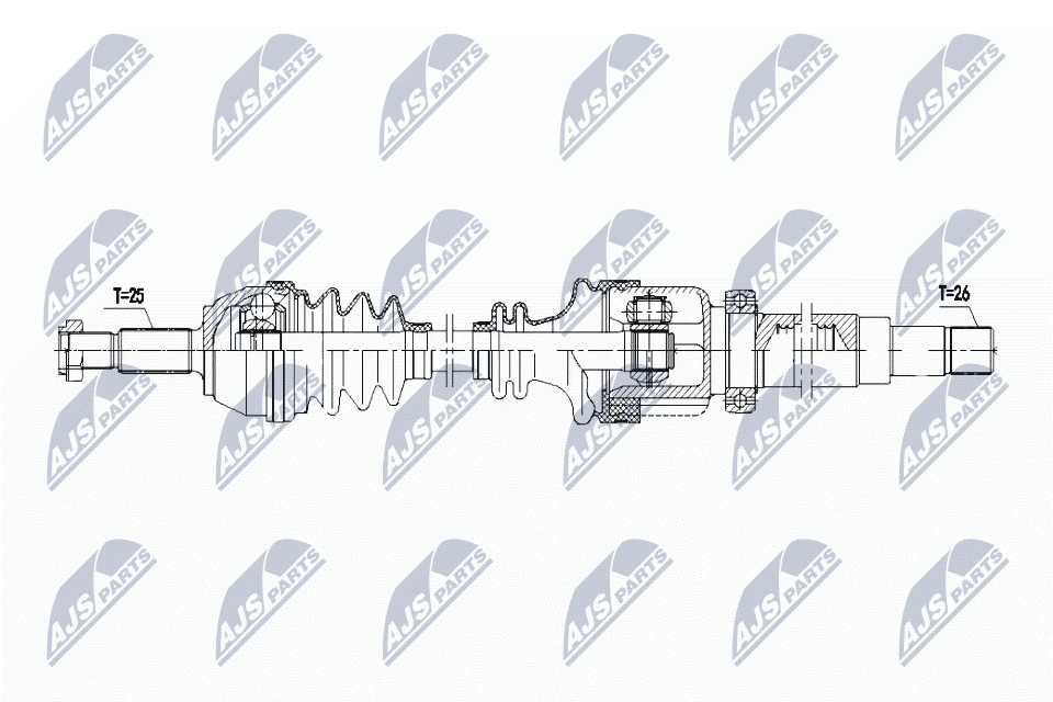 NPW-FR-166