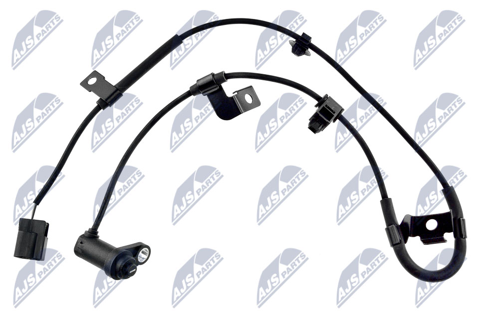 HCA-MS-053