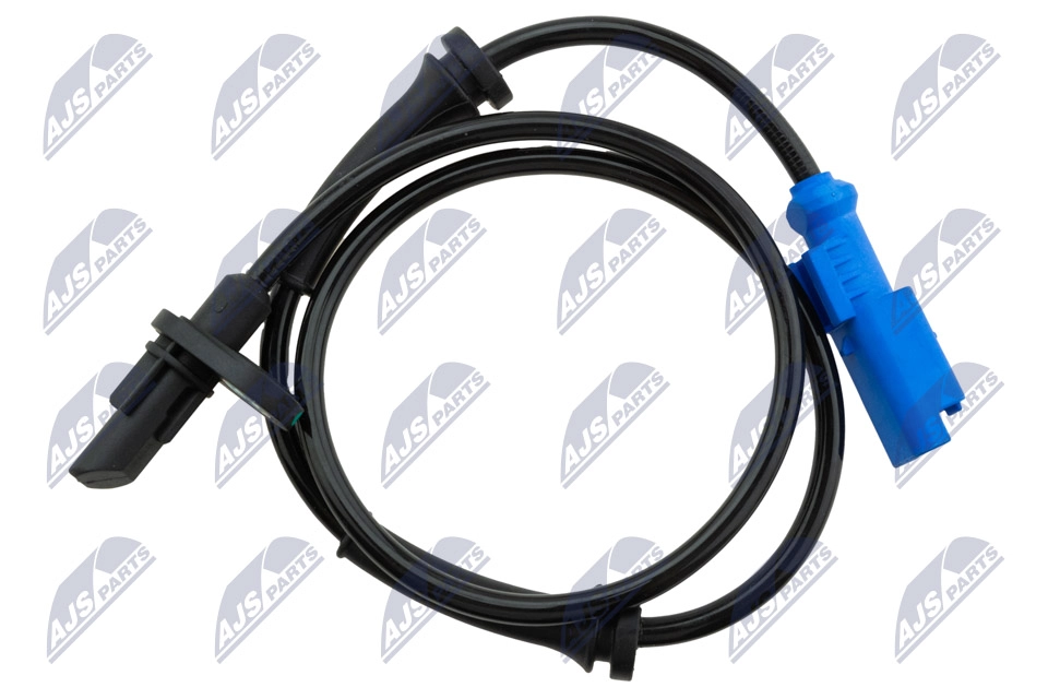 HCA-CT-031