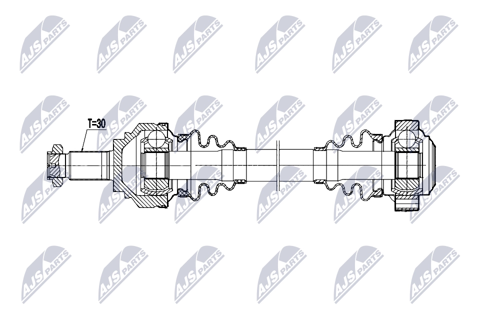 NPW-BM-202