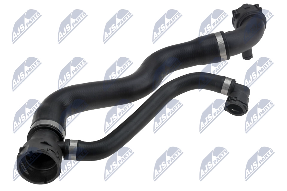 CPP-BM-018