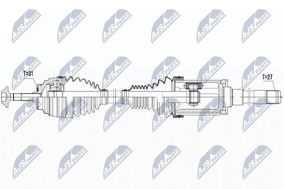 NPW-BM-027