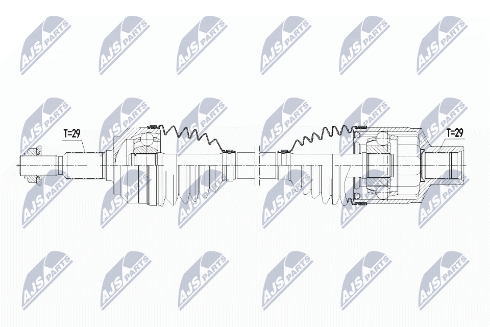 NPW-CH-066