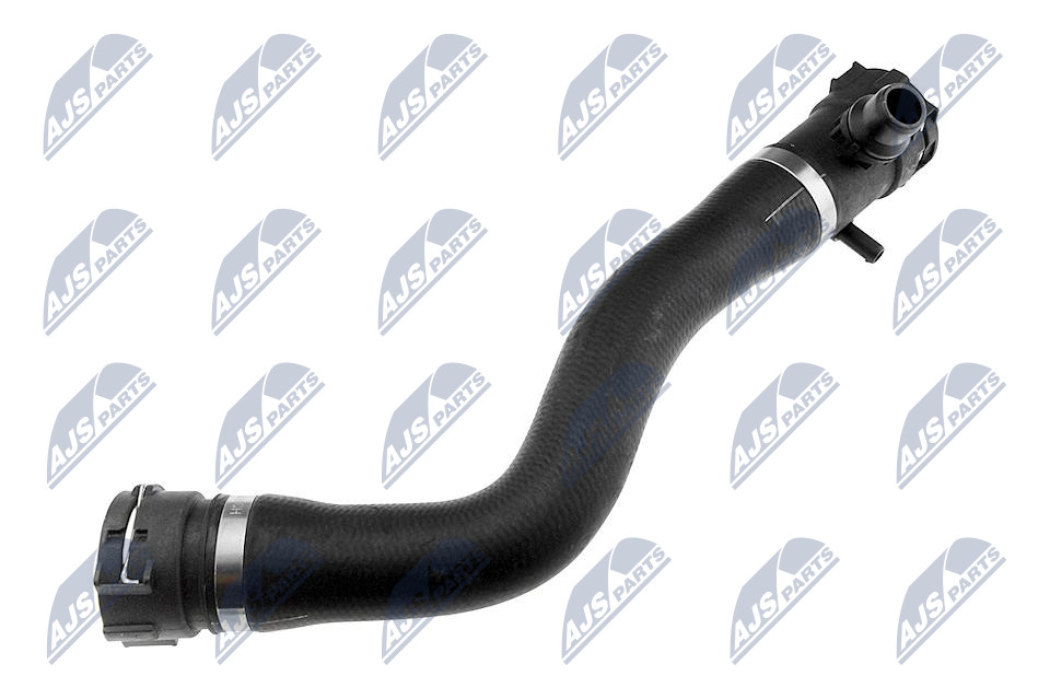 CPP-BM-004
