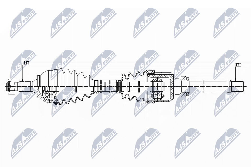 NPW-CT-081